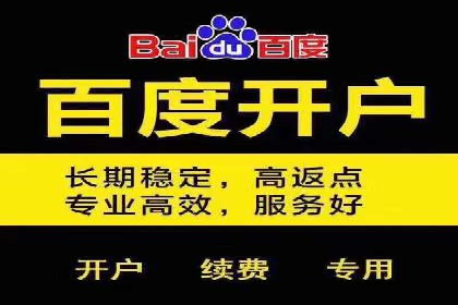案例分析：SEM推广助力品牌知名度