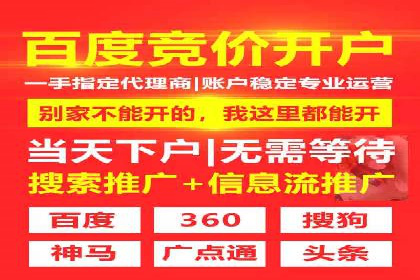 百度推广公司案例解析：如何利用大数据优化营销策略